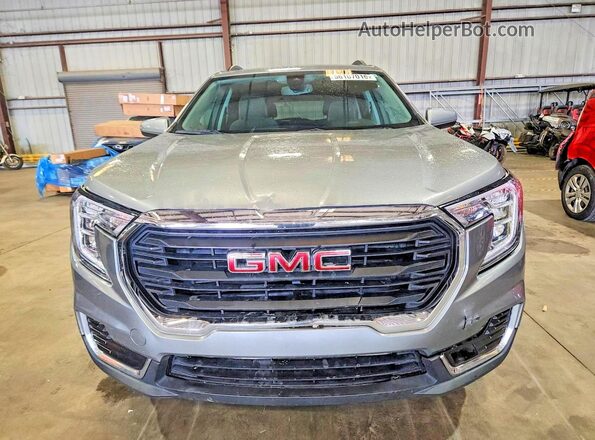 3GKALMEG6PL171085 2023 GMC TERRAIN Silver 