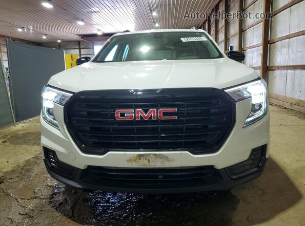 3GKALMEG9RL308376 2024 GMC TERRAIN Белый 