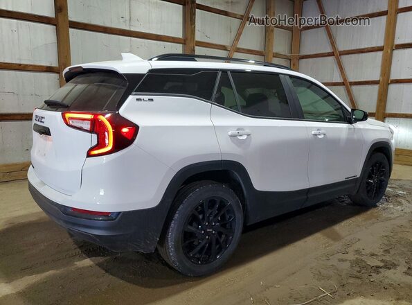 3GKALMEG9RL308376 2024 GMC TERRAIN Белый 