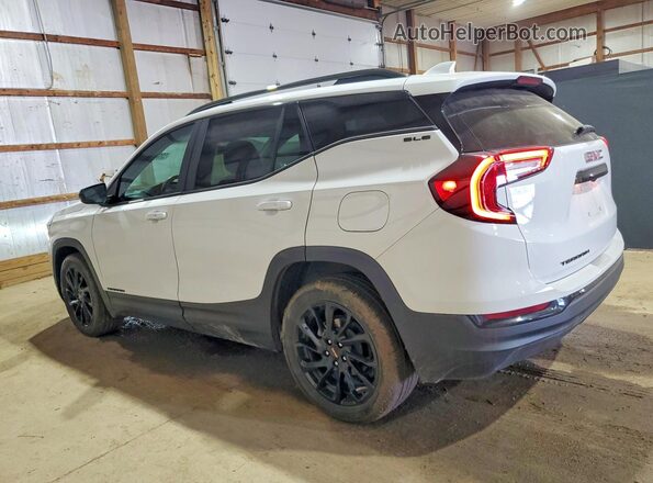 3GKALMEG9RL308376 2024 GMC TERRAIN Белый 