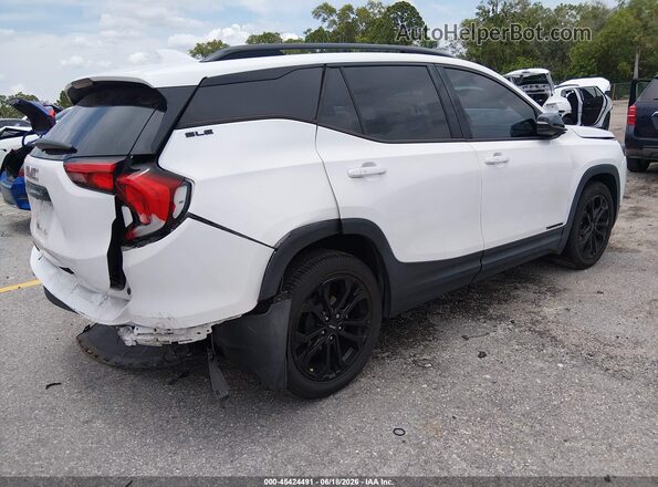 3GKALMEV6LL148317 2020 GMC TERRAIN White Հետևի աջ