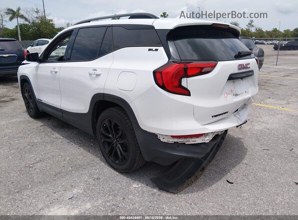 3GKALMEV6LL148317 2020 GMC TERRAIN White Հետևի ձախ