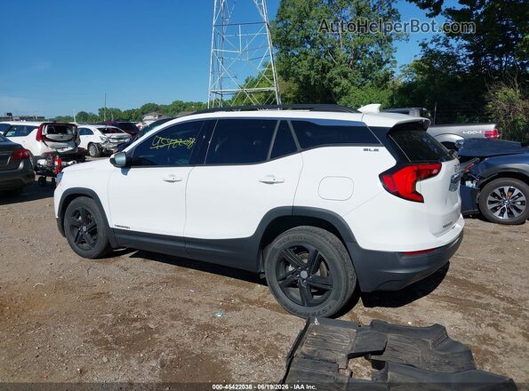 3GKALMEV8LL181318 2020 GMC TERRAIN White Հետևի ձախ
