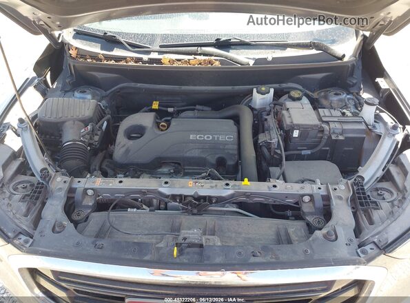 3GKALMEV9LL145718 2020 GMC TERRAIN Gray Вид ззаду