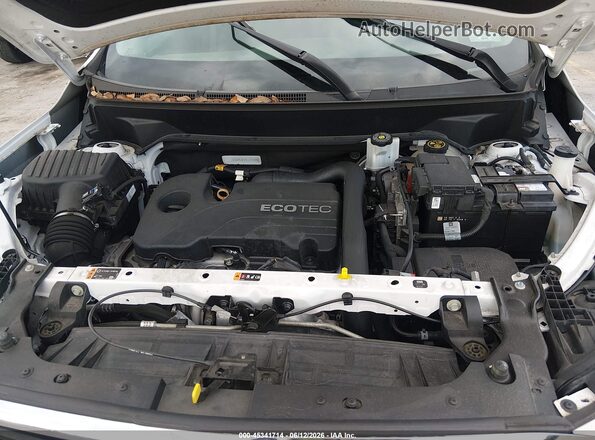 3GKALMEV9LL156184 2020 GMC TERRAIN Белый Вид сзади