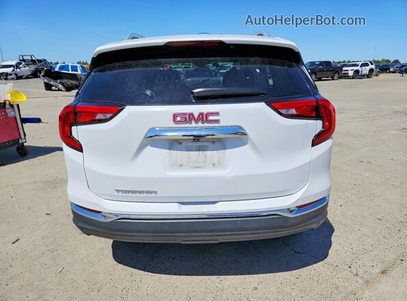 3GKALPEV1LL251095 2020 GMC TERRAIN Белый Вид сзади