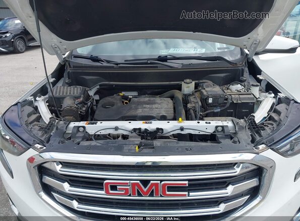 3GKALPEV9KL179271 2019 GMC TERRAIN White Widok z tyłu