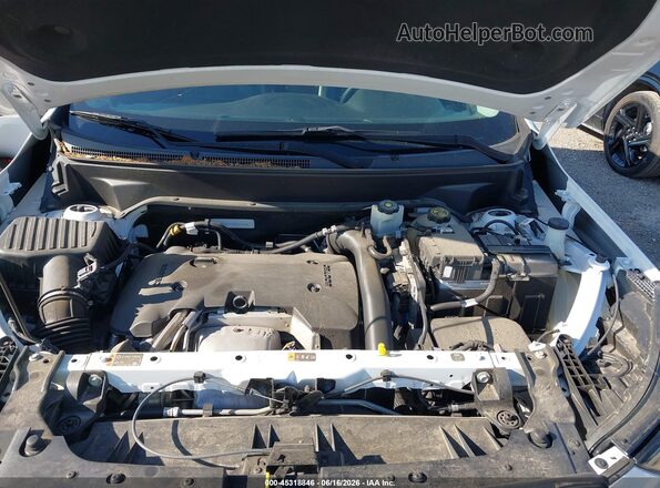 3GKALPEX2KL271842 2019 GMC TERRAIN Белый Вид сзади