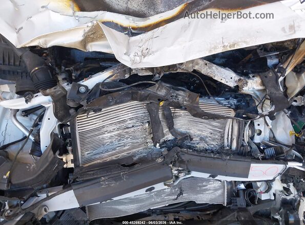 3GKALPEX9KL301452 2019 GMC TERRAIN White Widok z tyłu