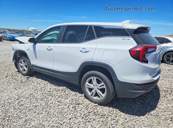 3GKALTEG3RL302051 2024 GMC TERRAIN White 