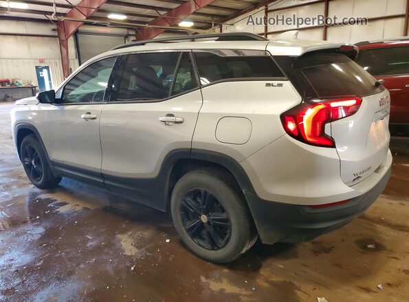 3GKALTEV1LL315967 2020 GMC TERRAIN Silver Tył lewy