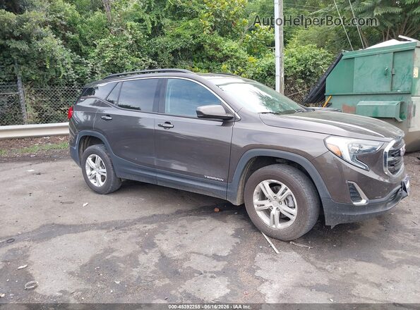 3GKALTEV6LL163443 2020 GMC TERRAIN Коричневый Вид задней части салона