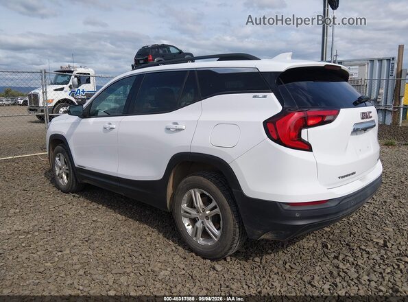 3GKALTEVXLL274240 2020 GMC TERRAIN White 