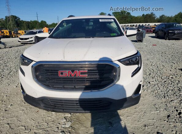 3GKALUEU1KL293187 2019 GMC TERRAIN White Widok z przodu