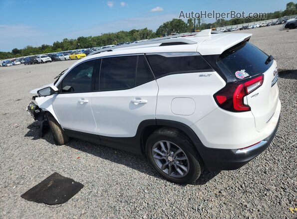 3GKALVEG5RL284809 2024 GMC TERRAIN White 