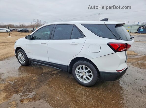 3GNAXHEG2PL204615 2023 CHEVROLET EQUINOX White Tył lewy