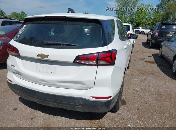 3GNAXHEGXPL170066 2023 CHEVROLET EQUINOX White Tył prawy