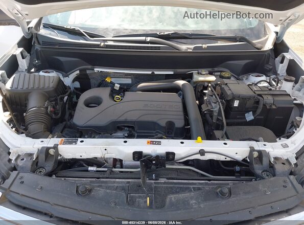 3GNAXHEGXPL170066 2023 CHEVROLET EQUINOX White Widok z tyłu