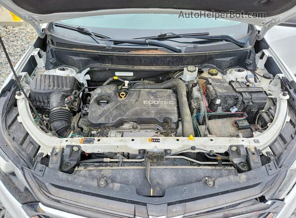 3GNAXHEV2JS648685 2018 CHEVROLET EQUINOX Белый Вид задней части салона