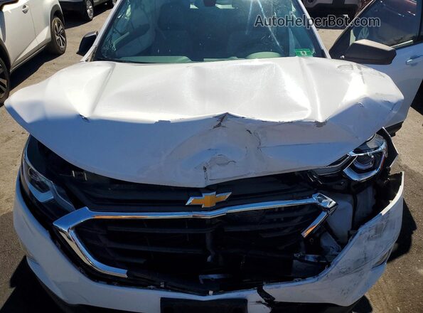 3GNAXHEV2KL115991 2019 CHEVROLET EQUINOX White Սալոնի հետևի տեսք
