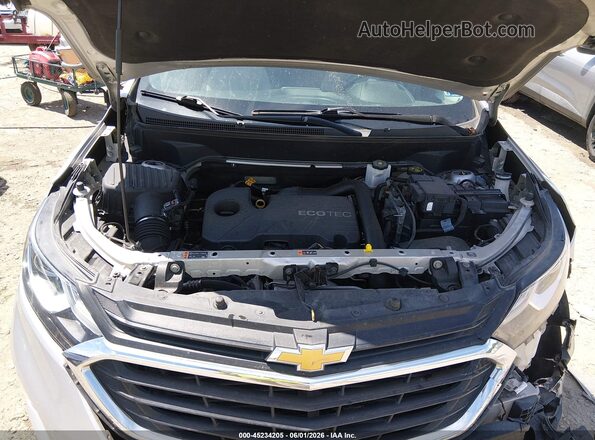 3GNAXHEV6MS114321 2021 CHEVROLET EQUINOX Silver Widok z tyłu