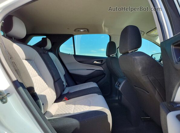 3GNAXHEV7LS650497 2020 CHEVROLET EQUINOX Белый Вид задней части салона