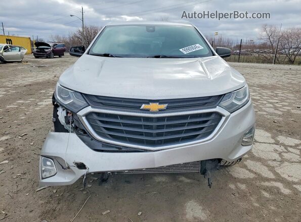 3GNAXHEV8LS632512 2020 CHEVROLET EQUINOX Silver Դիմացի տեսք