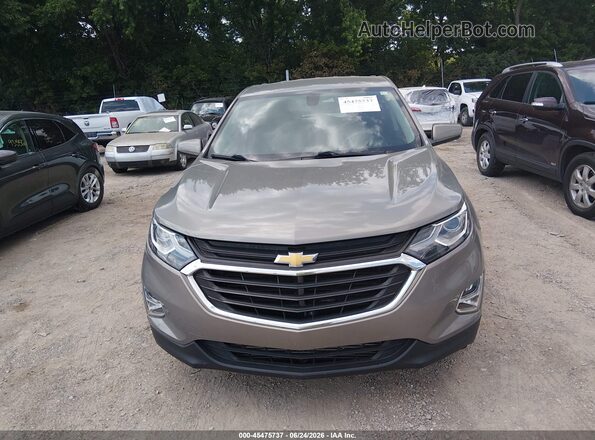 3GNAXJEV5JS577294 2018 CHEVROLET EQUINOX Gray Rear interior view