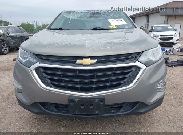 3GNAXJEV5JS637977 2018 CHEVROLET EQUINOX Gray Սալոնի հետևի տեսք