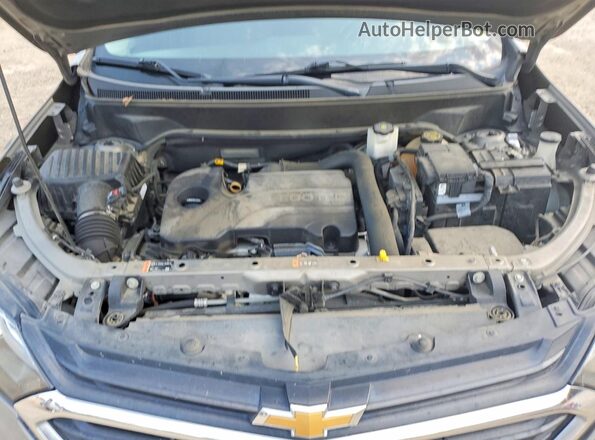 3GNAXJEV7JS647250 2018 CHEVROLET EQUINOX Серый Вид задней части салона