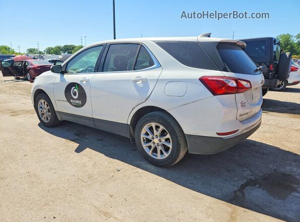 3GNAXJEV9LS667552 2020 CHEVROLET EQUINOX White Задня ліва чверть