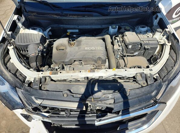 3GNAXJEV9LS667552 2020 CHEVROLET EQUINOX White Вид задньої частини салону