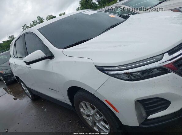 3GNAXKEG7RL283571 2024 CHEVROLET EQUINOX Белый Вид задней части салона