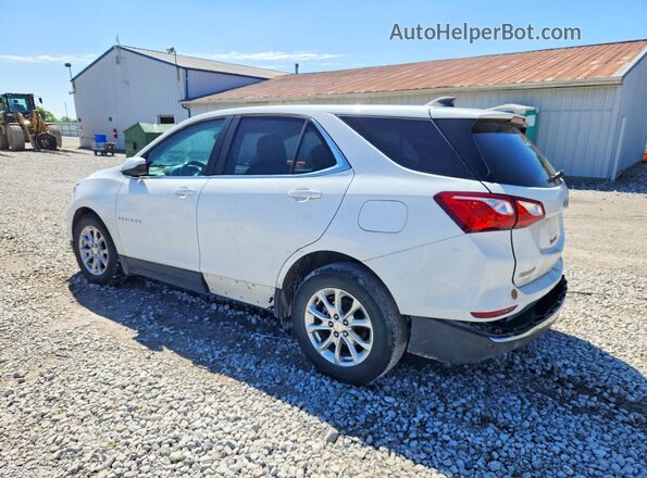 3GNAXKEV0MS170042 2021 CHEVROLET EQUINOX White Tył lewy