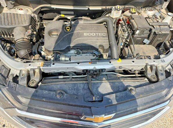 3GNAXKEV0MS174172 2021 CHEVROLET EQUINOX Silver Սալոնի հետևի տեսք