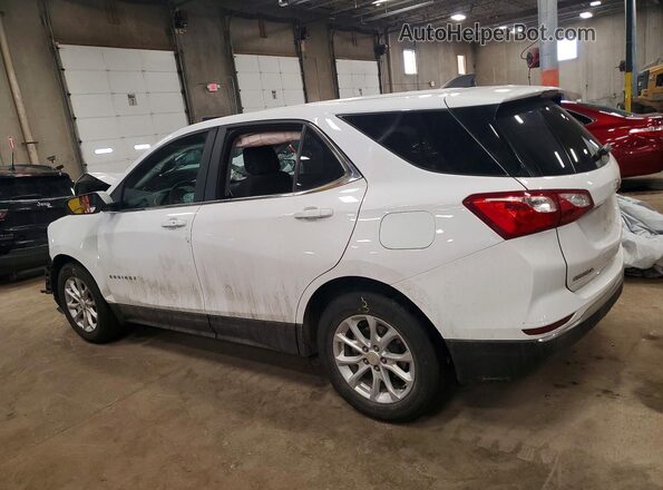 3GNAXKEV3ML303564 2021 CHEVROLET EQUINOX White უკანა მარცხენა