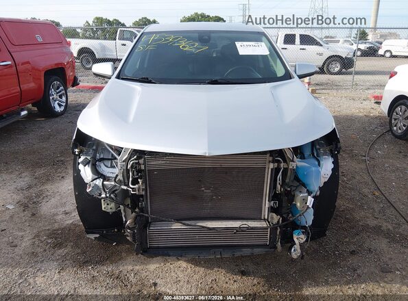 3GNAXKEV5LS733438 2020 CHEVROLET EQUINOX Silver Սալոնի հետևի տեսք