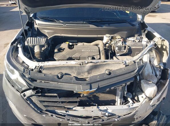 3GNAXKEV6LS510048 2020 CHEVROLET EQUINOX Серебряный Вид сзади