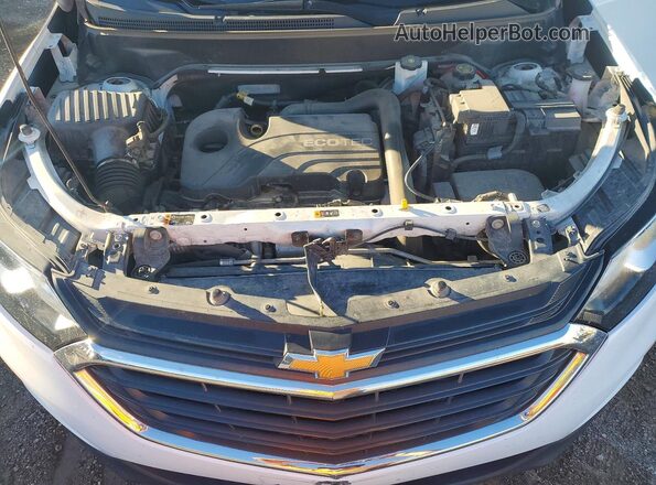 3GNAXKEV7MS156333 2021 CHEVROLET EQUINOX White Vista del compartimento del motor