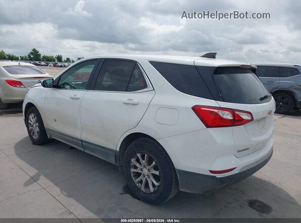 3GNAXKEV8MS101065 2021 CHEVROLET EQUINOX Белый Задняя левая четверть