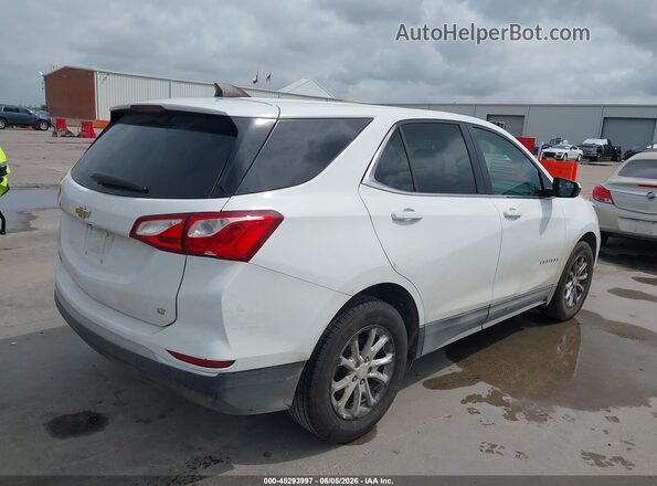 3GNAXKEV8MS101065 2021 CHEVROLET EQUINOX Белый Задняя правая четверть