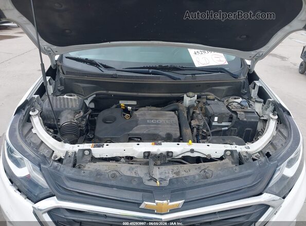 3GNAXKEV8MS101065 2021 CHEVROLET EQUINOX Белый Вид сзади