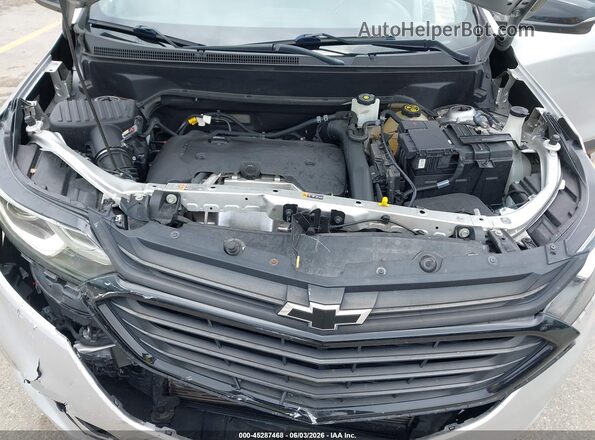 3GNAXLEX4LS733924 2020 CHEVROLET EQUINOX Silver Widok z tyłu