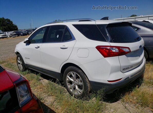 3GNAXLEX9LS647864 2020 CHEVROLET EQUINOX White Tył lewy