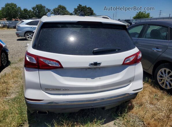 3GNAXLEX9LS647864 2020 CHEVROLET EQUINOX White Widok z tyłu
