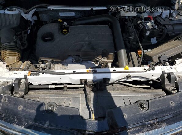 3GNAXMEG8PL240723 2023 CHEVROLET EQUINOX Белый Вид задней части салона