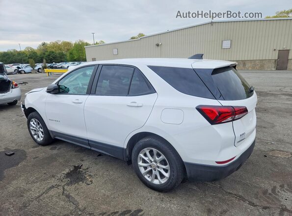 3GNAXSEG3PL174134 2023 CHEVROLET EQUINOX White 