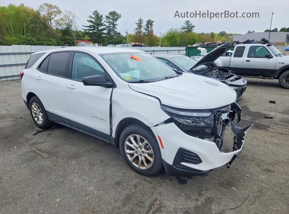 3GNAXSEG3PL174134 2023 CHEVROLET EQUINOX White 