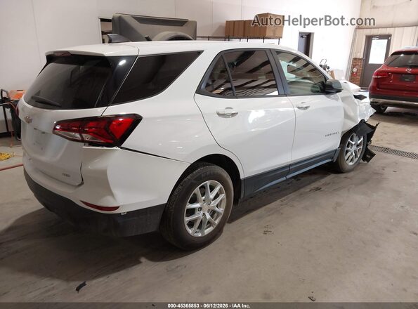 3GNAXSEG8PL156597 2023 CHEVROLET EQUINOX White Հետևի աջ