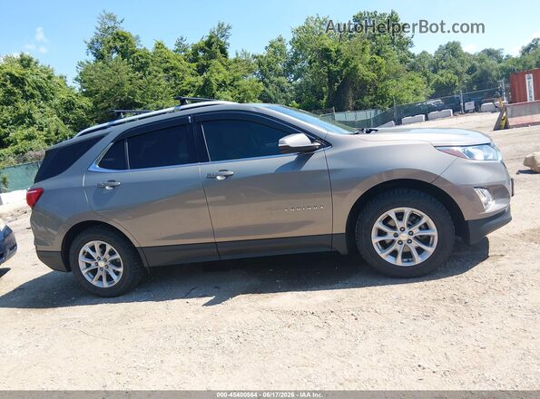 3GNAXSEV8JS503244 2018 CHEVROLET EQUINOX Gray Սալոնի հետևի տեսք